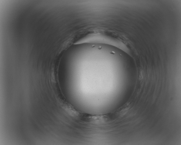 X0000067530524200604211847