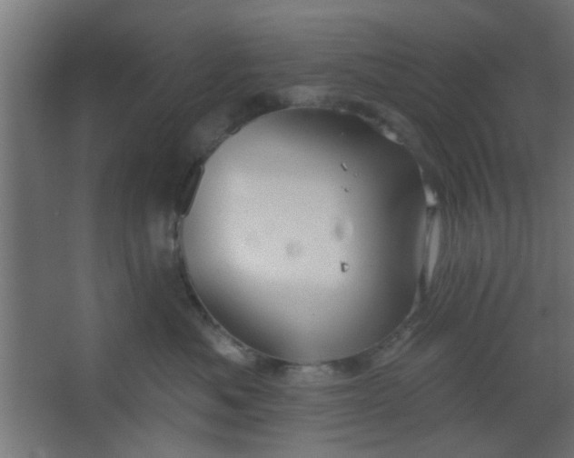 X0000067530525200604211847