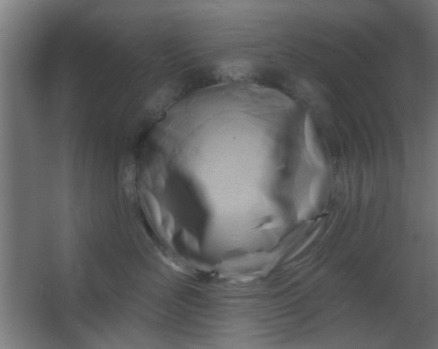 X0000067530526200604211847