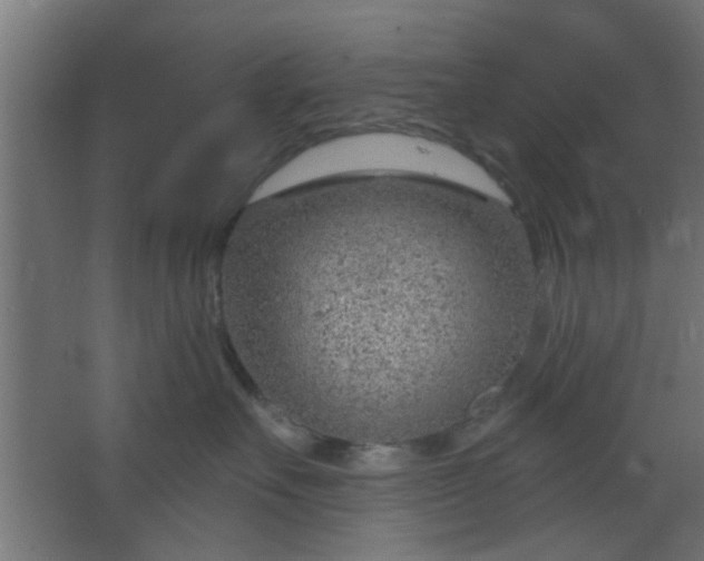 X0000067530527200604211847