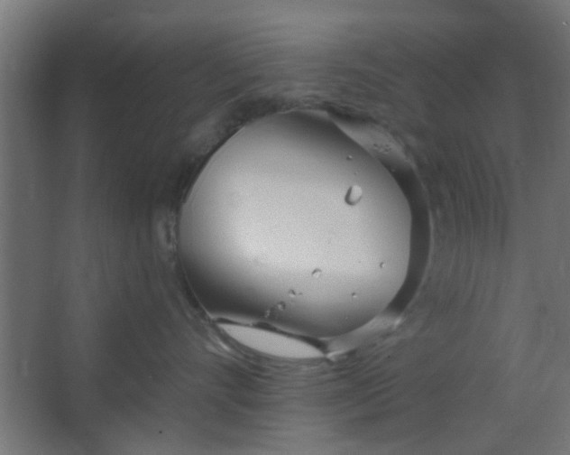 X0000067530528200604211847