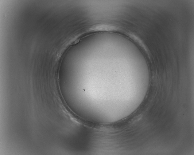 X0000067530529200604211846