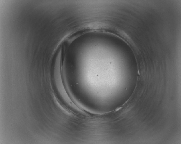 X0000067530530200604211846