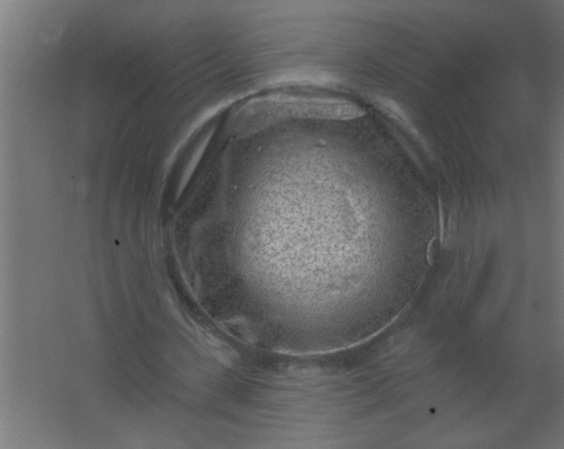 X0000067530531200604211846