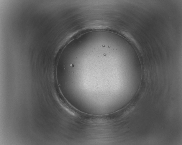 X0000067530533200604211846