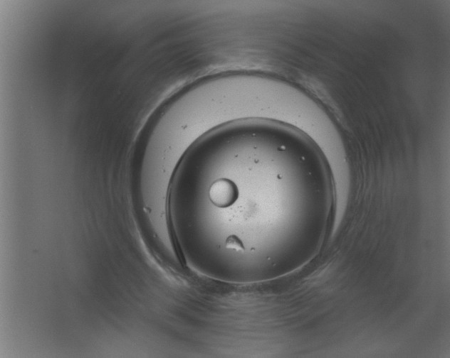 X0000067530534200604211846