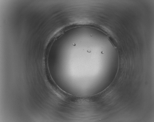 X0000067530535200604211846