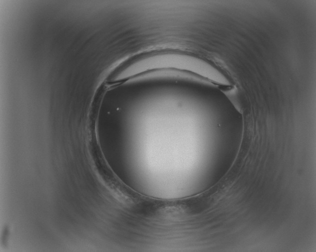 X0000067530536200604211846