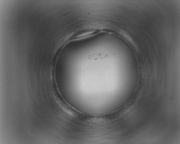 X0000067530537200604211846