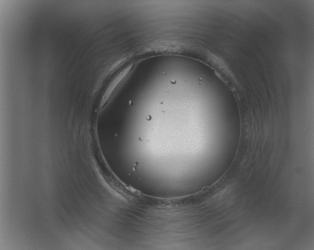 X0000067530538200604211846