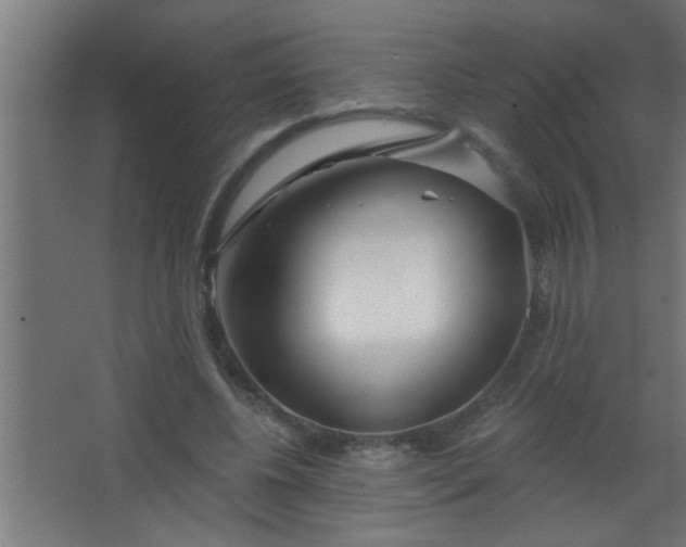 X0000067530540200604211846