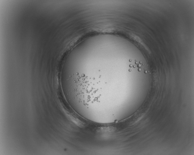 X0000067530541200604211846