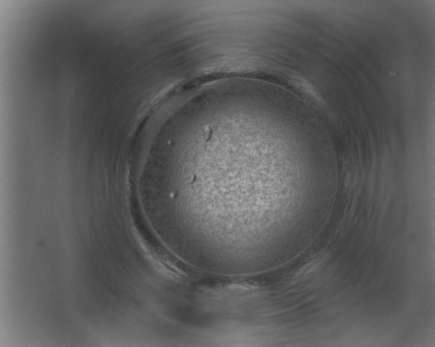 X0000067530542200604211846