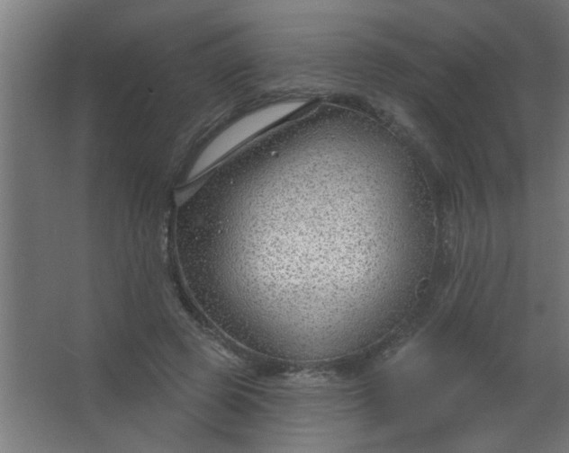 X0000067530545200604211846