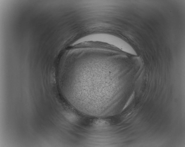 X0000067530547200604211846