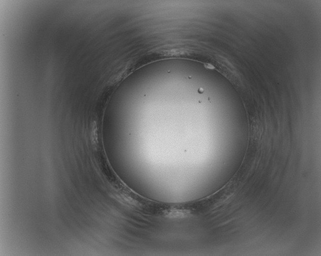 X0000067530549200604211846