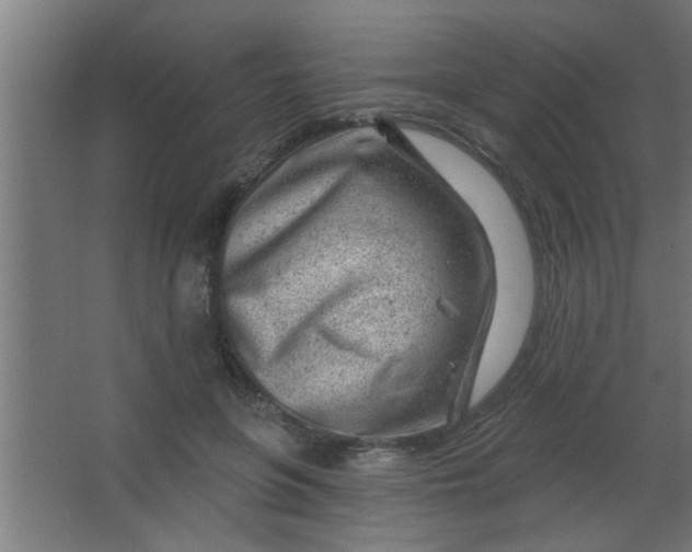 X0000067530551200604211846