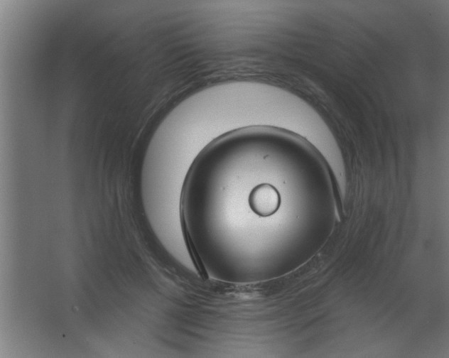 X0000067530552200604211846