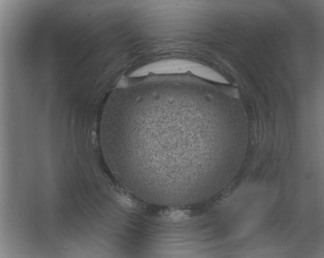 X0000067530553200604211846