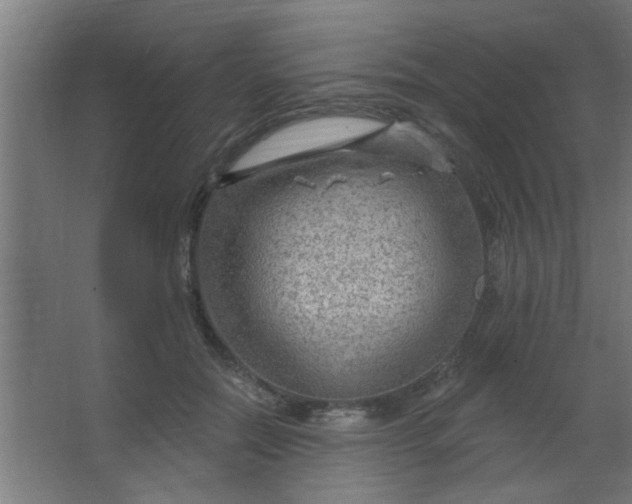 X0000067530554200604211846