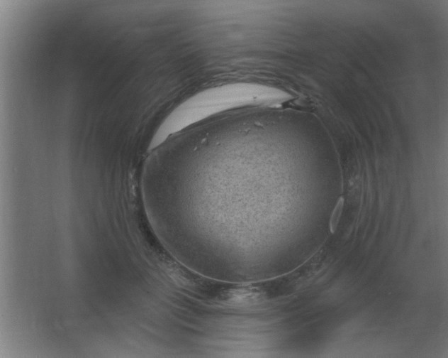 X0000067530555200604211846