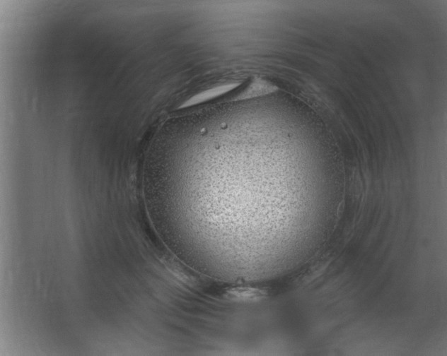 X0000067530557200604211846