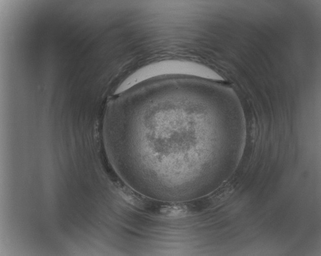 X0000067530559200604211846