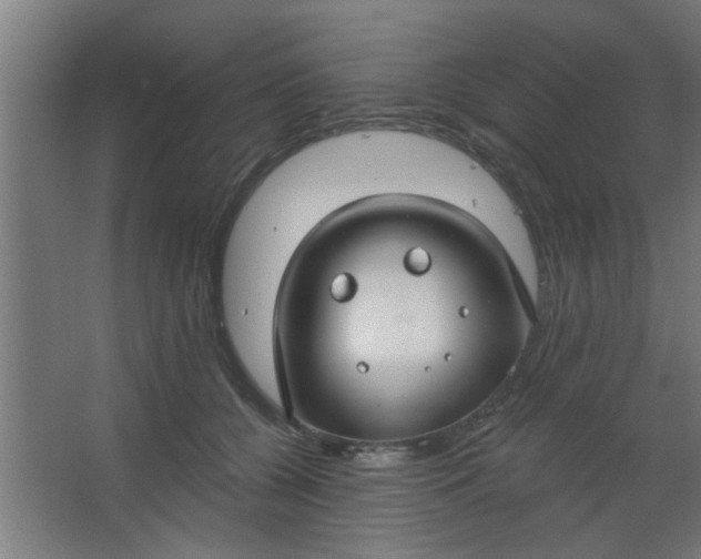 X0000067530560200604211846