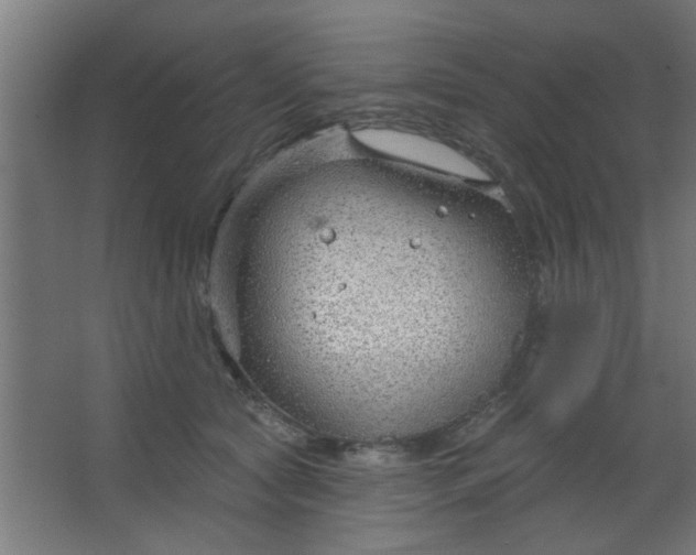 X0000067530561200604211846