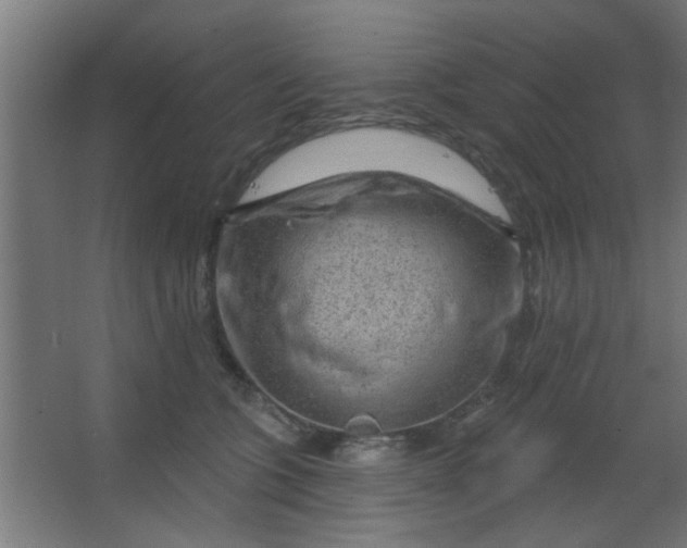 X0000067530563200604211846