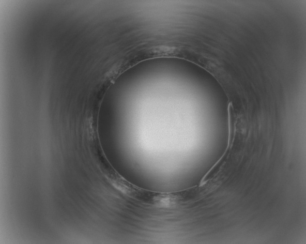 X0000067530564200604211846