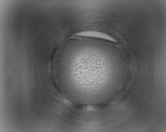 X0000067530565200604211846