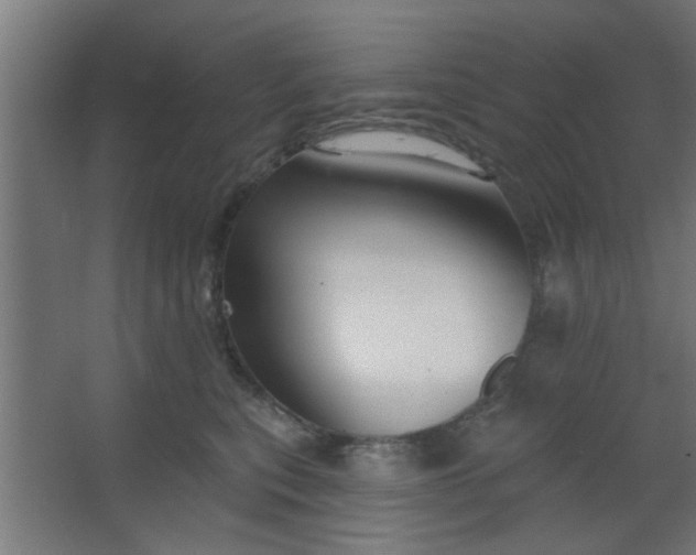 X0000067530567200604211846