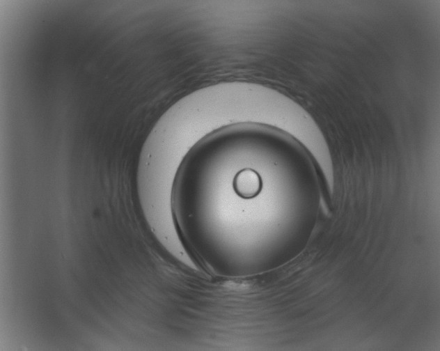 X0000067530570200604211847