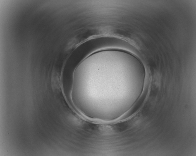 X0000067530572200604211847