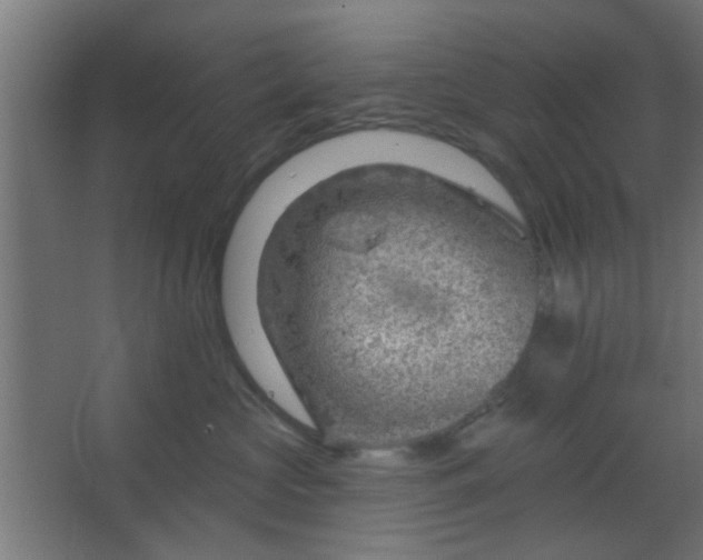 X0000067530573200604211847