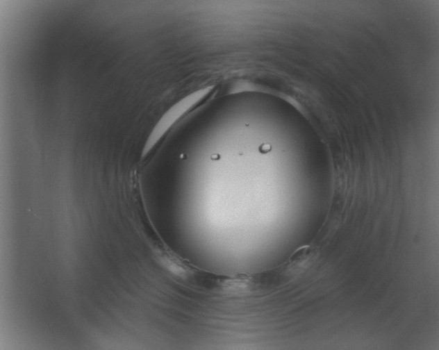 X0000067530574200604211847