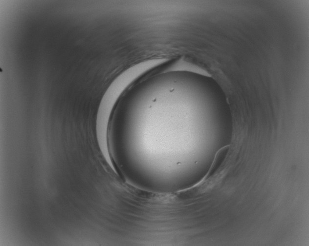 X0000067530576200604211847