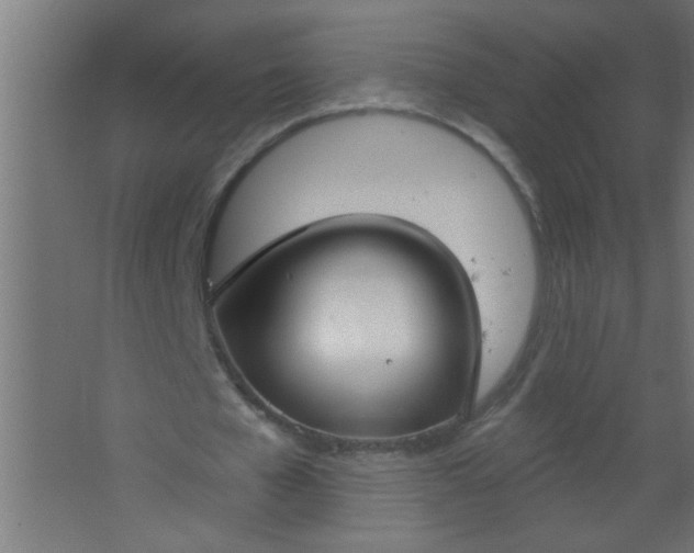 X0000067530577200604211846