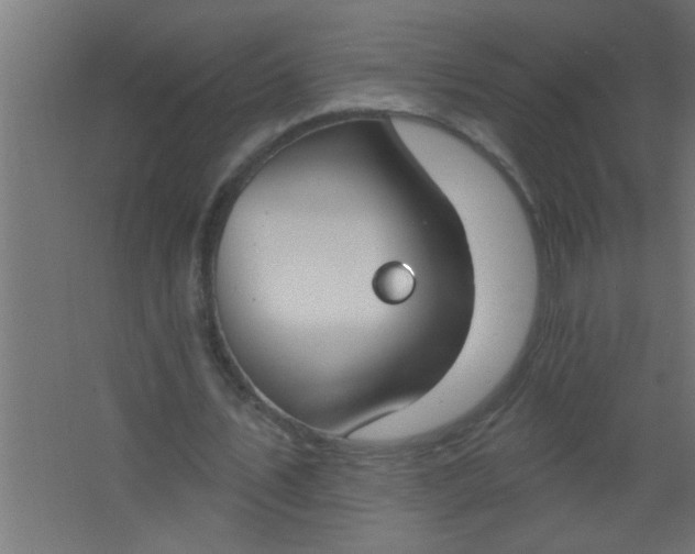 X0000067530579200604211846