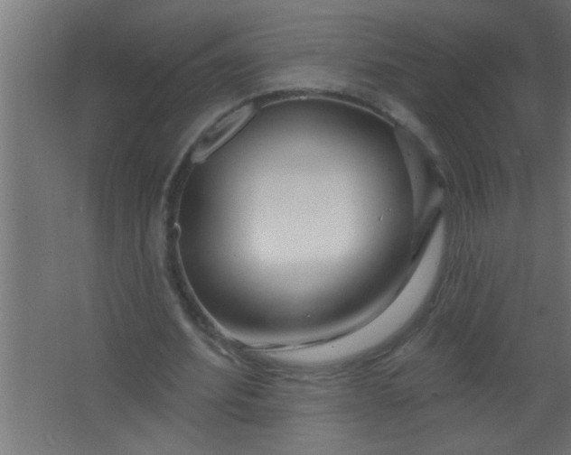 X0000067530580200604211846