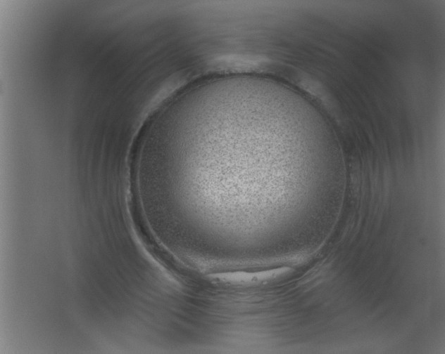 X0000067530582200604211846