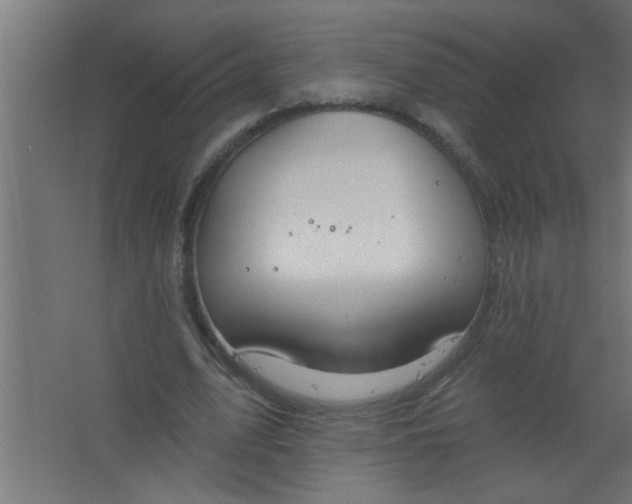 X0000067530583200604211846