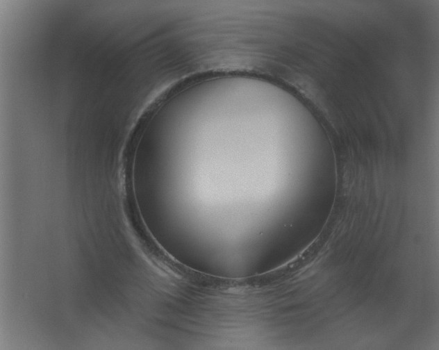 X0000067530584200604211846