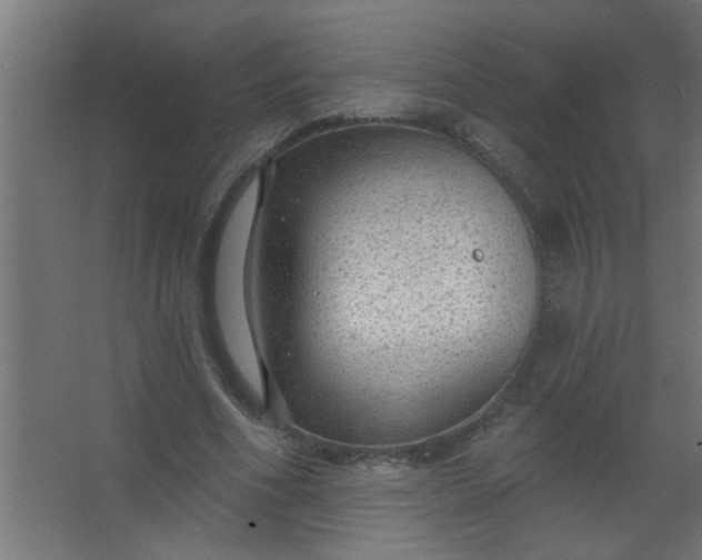 X0000067530586200604211846