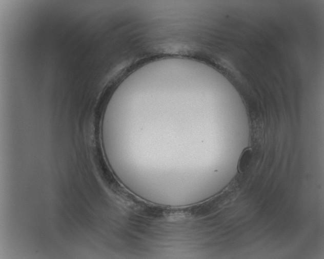 X0000067530587200604211846