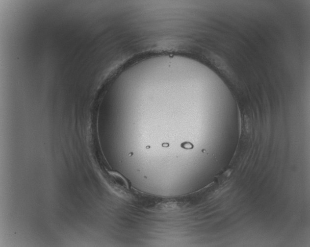 X0000067530588200604211846