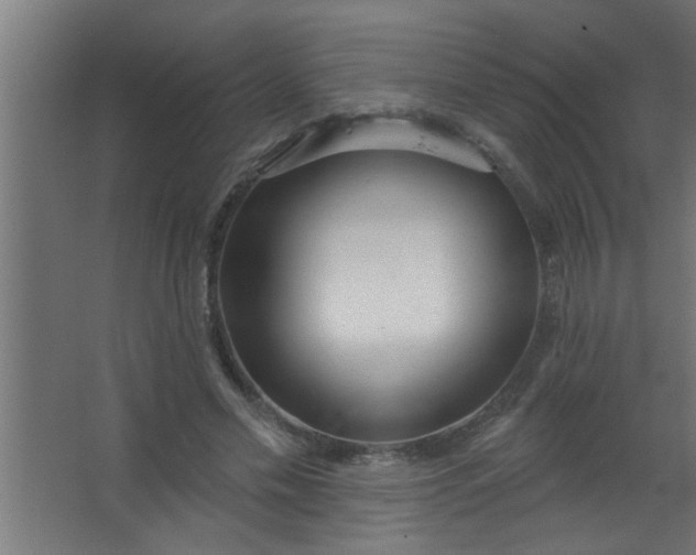 X0000067530589200604211846