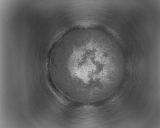 X0000067530590200604211846