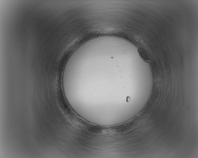 X0000067530591200604211846